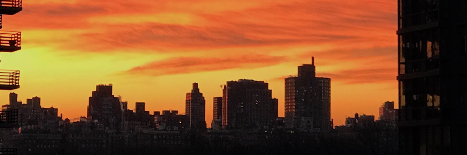 Steven Ashley banner