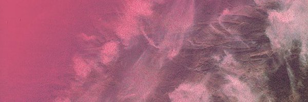 lauraftzpatrick Profile Banner