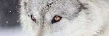 UlufuS15's profile banner image