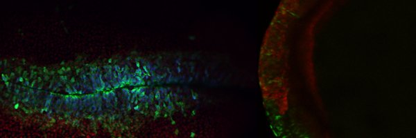 TSS_Lab Profile Banner