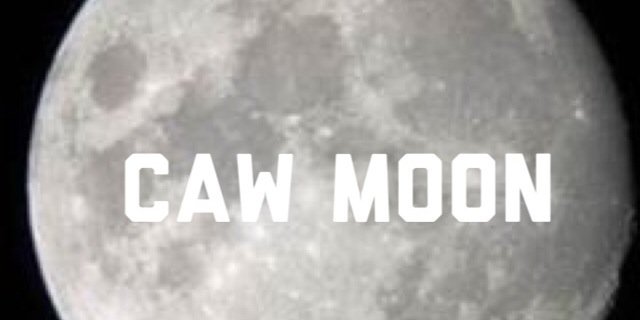 CAWMoon banner