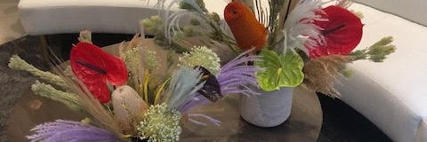 florabrookny's profile banner image