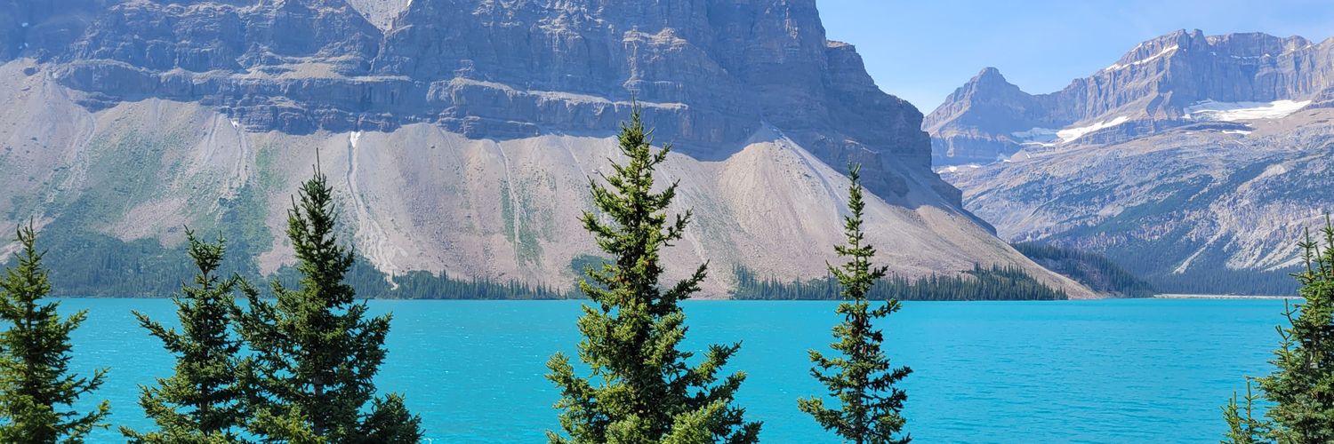 Ashley Shine Tilley banner