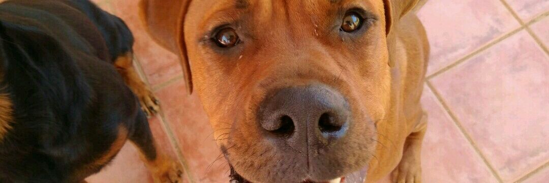 Bea_rot's profile banner image