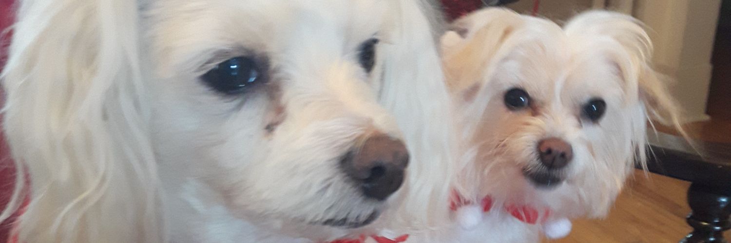 justroxy5's profile banner image