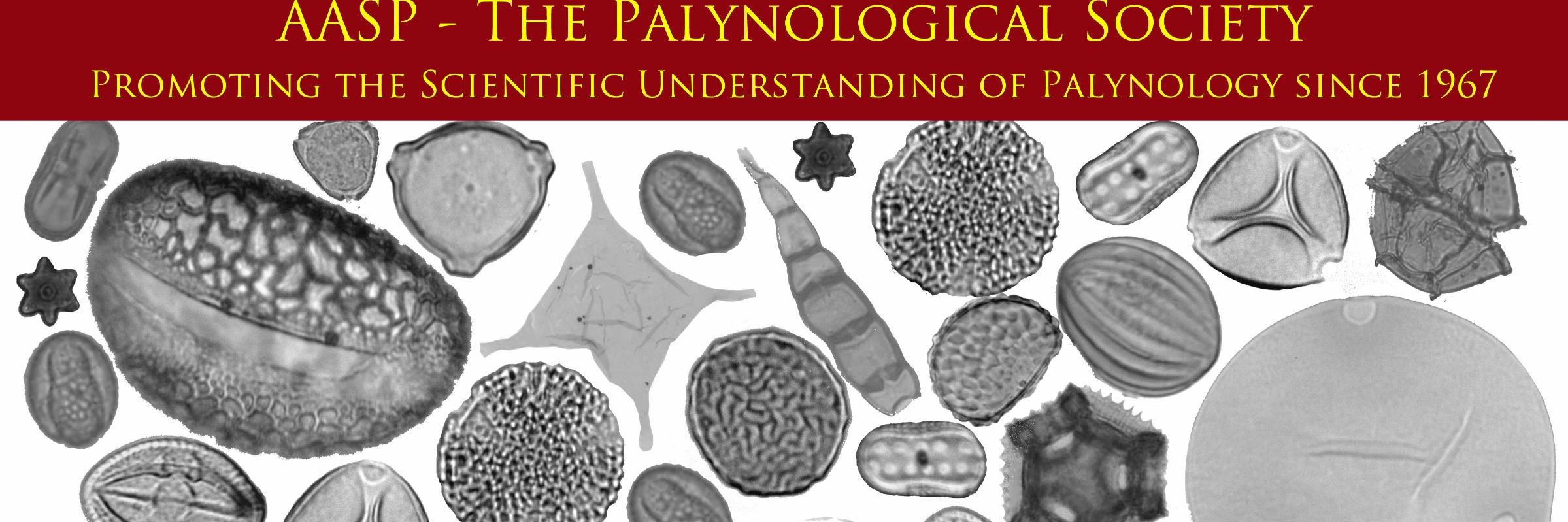 AASP-The Palynological Society banner