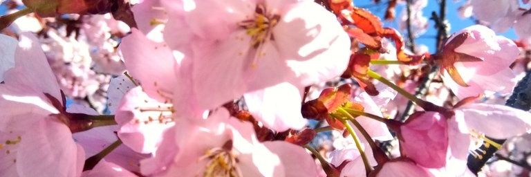 _doubtfulguest's profile banner image