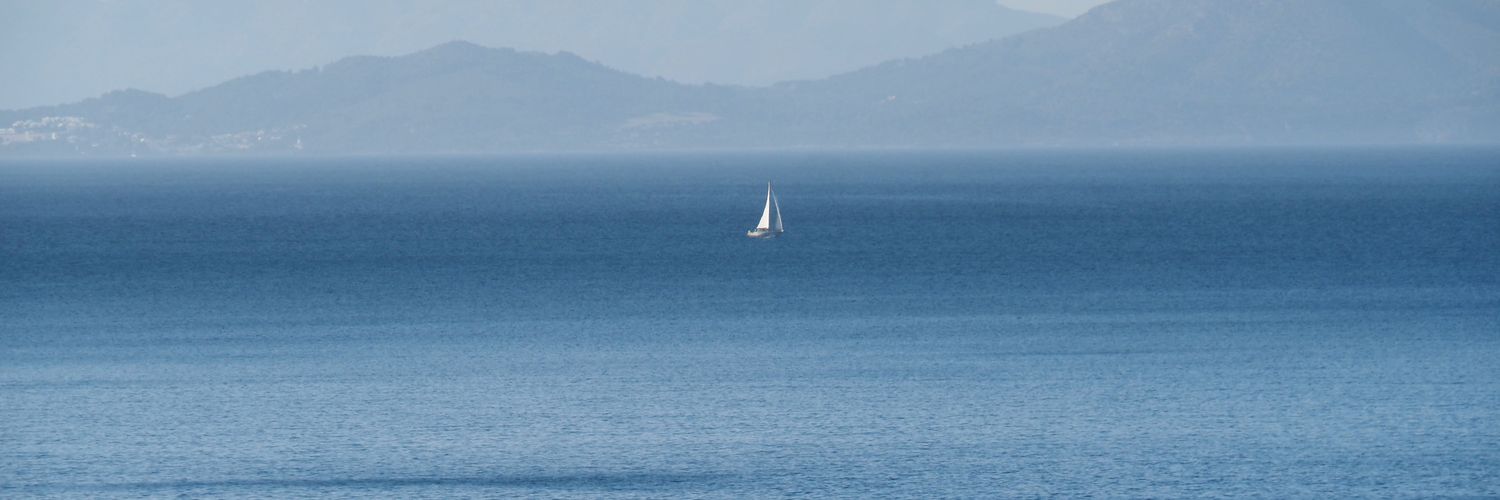 Francisca Tugores banner