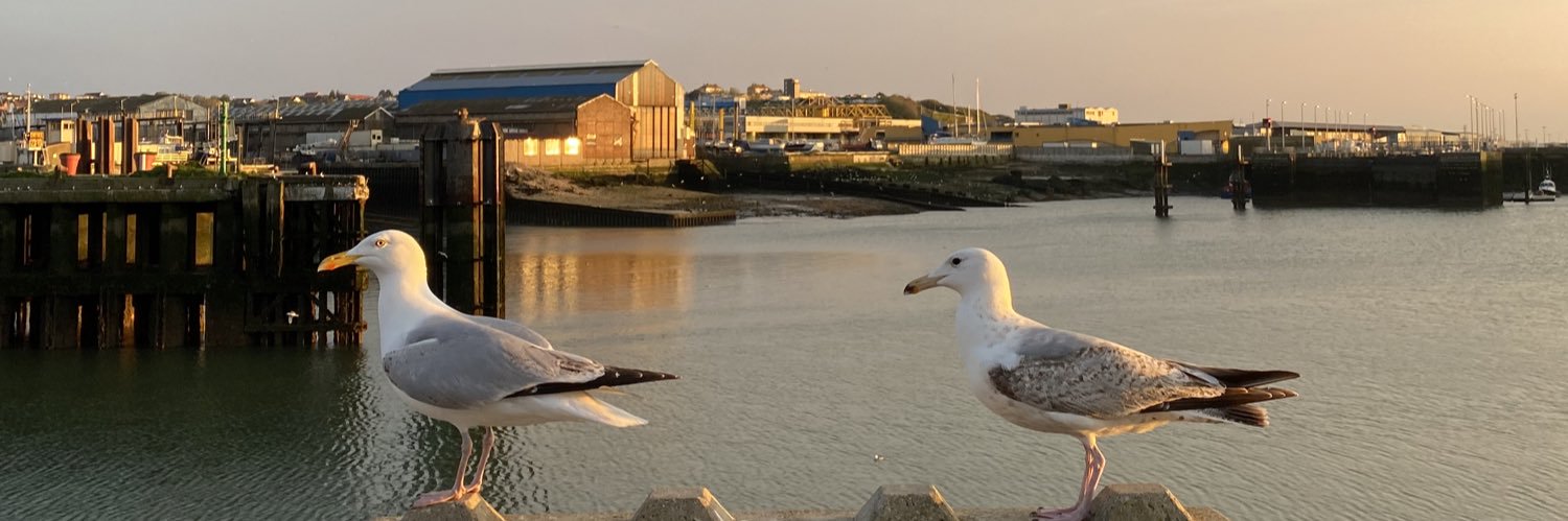Florine Cardin banner