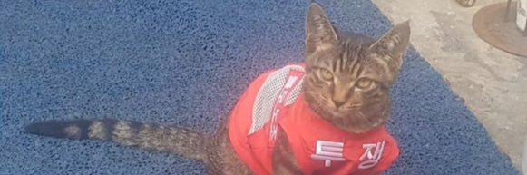 로해🕯️ banner