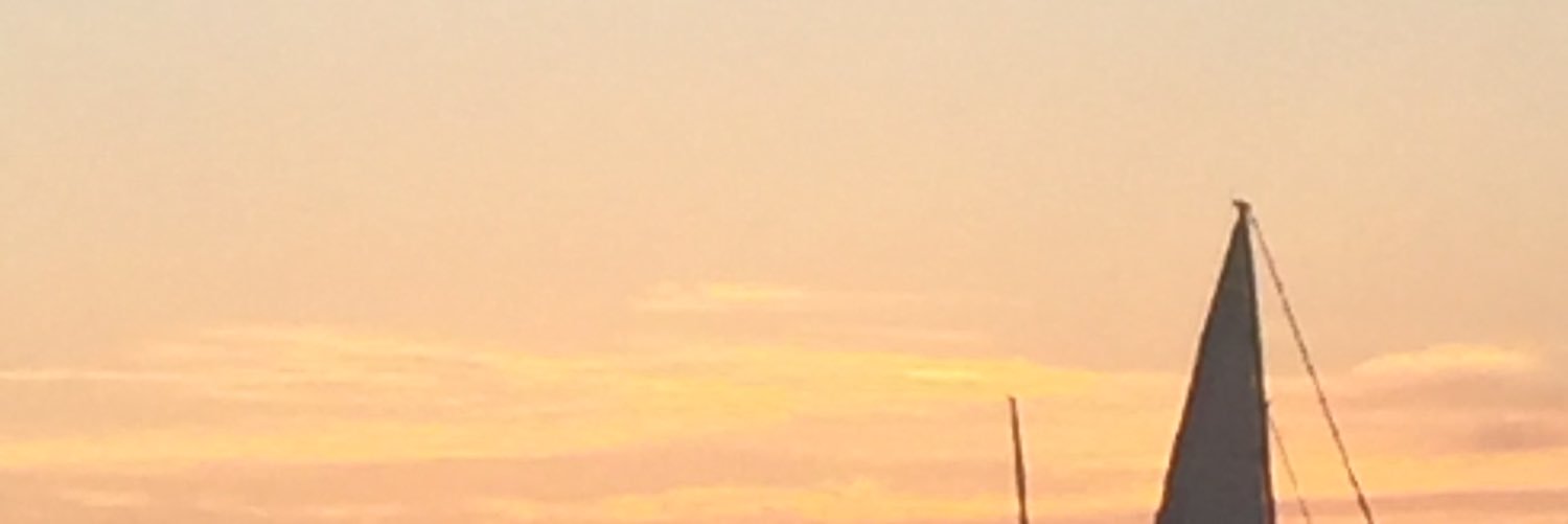 estherolek's profile banner image