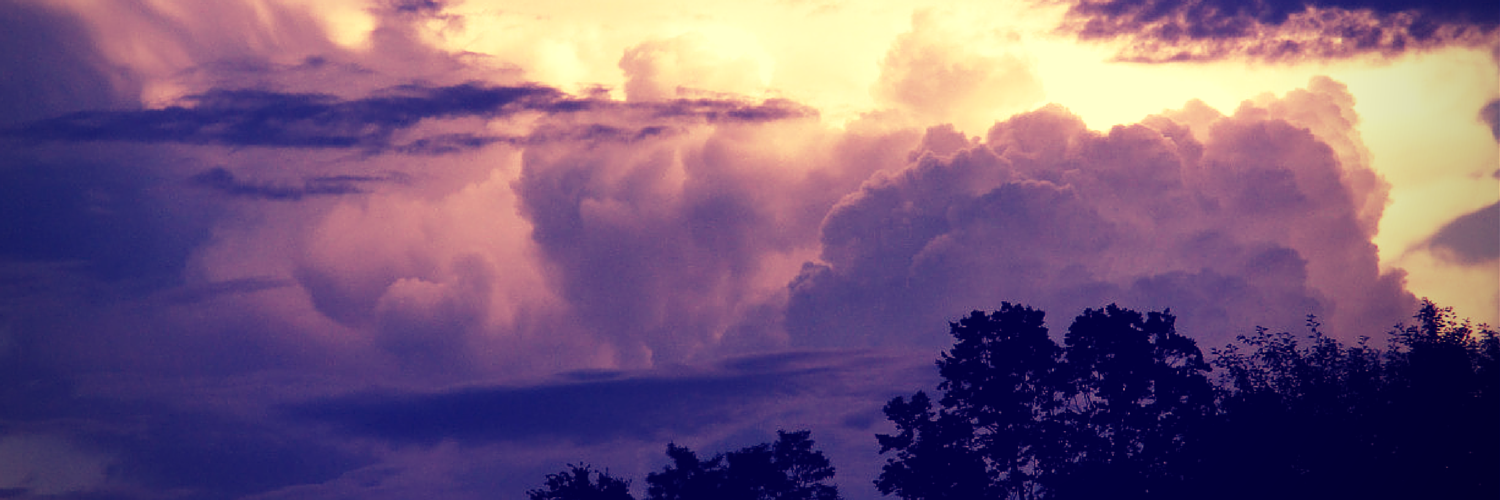 DeniseRayman's profile banner image