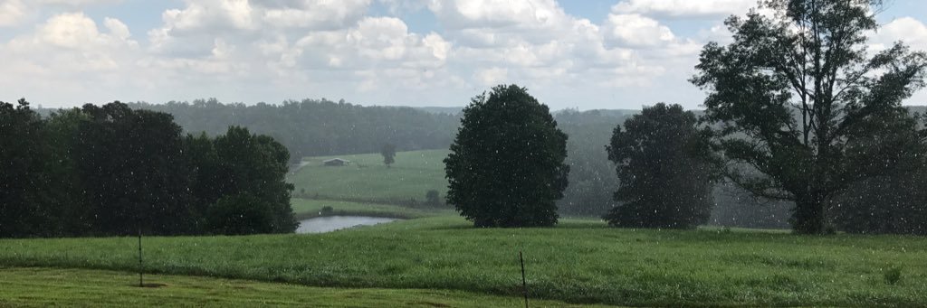 MasonBird's profile banner image