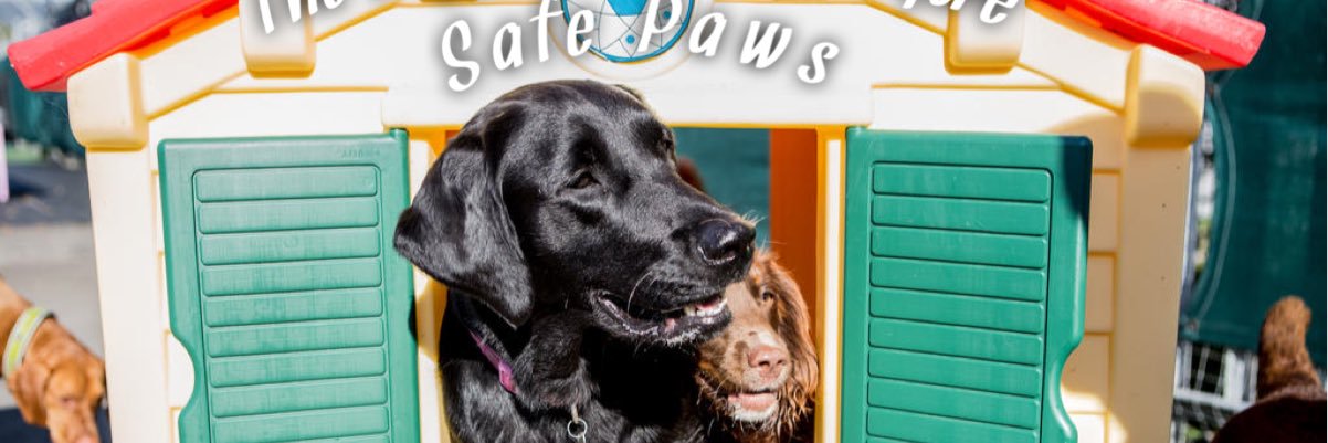 dogdaycareuk's profile banner image