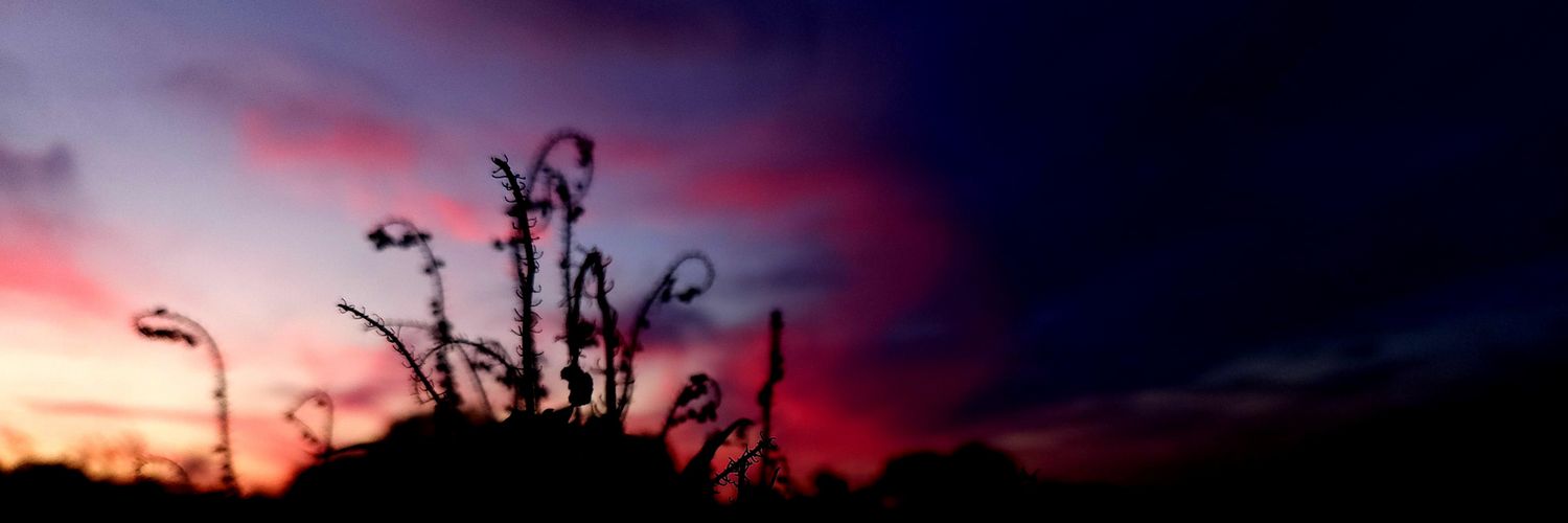 CassiCramer's profile banner image