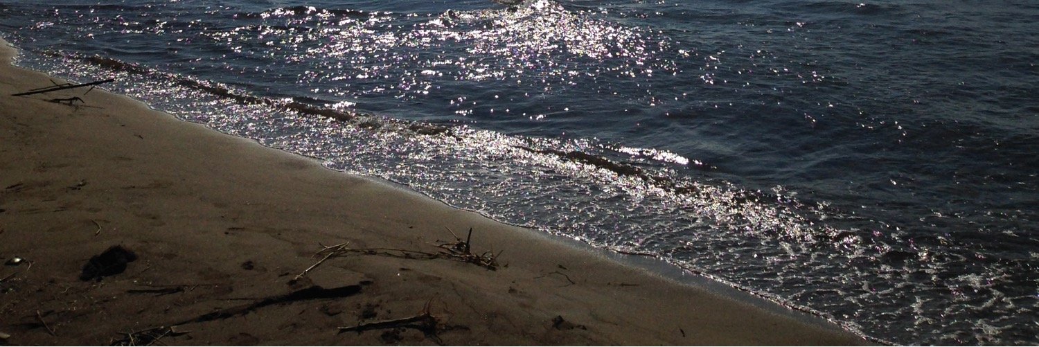 red_levo's profile banner image