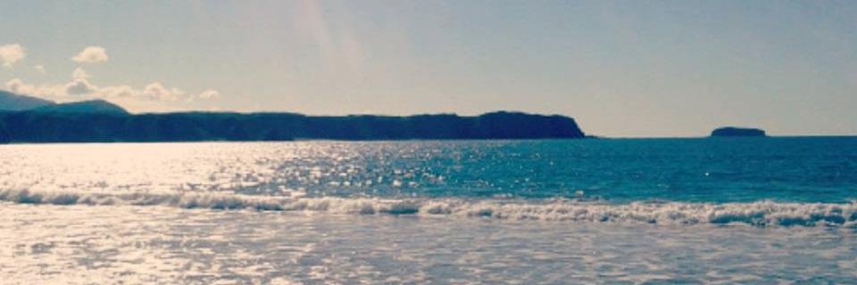 Ciarán Mc Feely banner