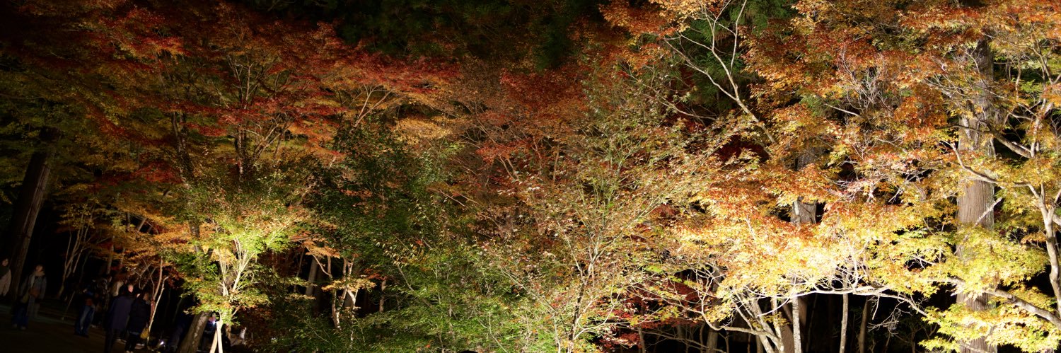 sok_03's profile banner image