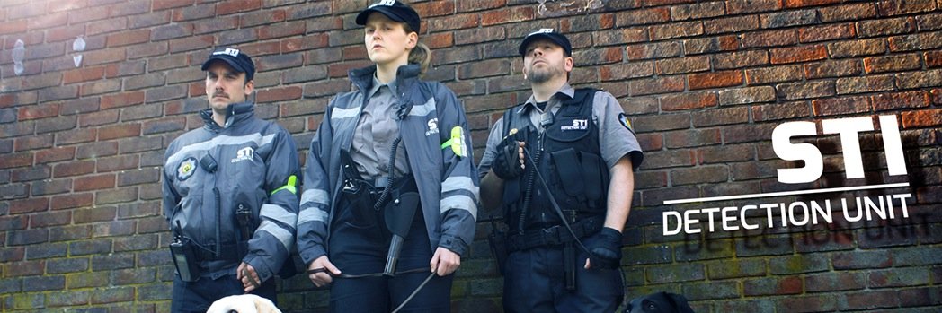 STI_Detection's profile banner image