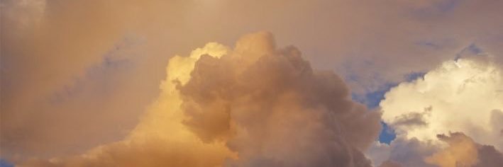 Fearlessly_Hal's profile banner image