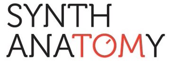 synthanatomy Profile Banner
