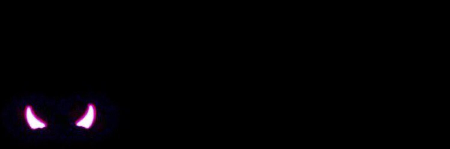 itsllily's profile banner image