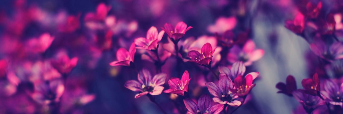 Jmexr's profile banner image