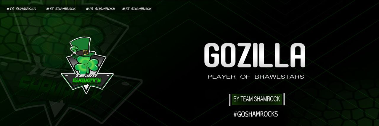 GozillaYT ♡ banner