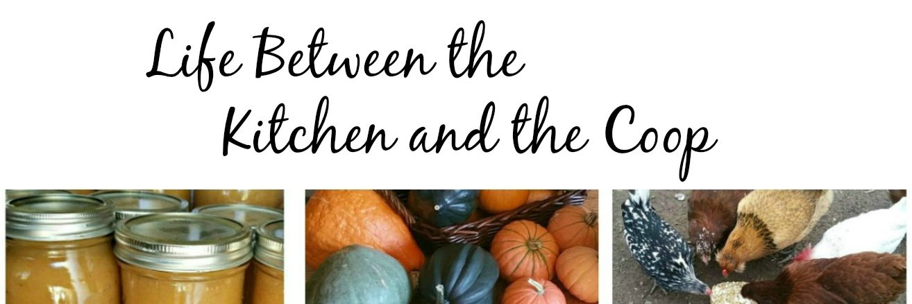 KitchenNTheCoop's profile banner image