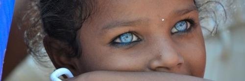 Andrea Sempio banner