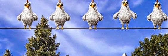 affhjhdh's profile banner image