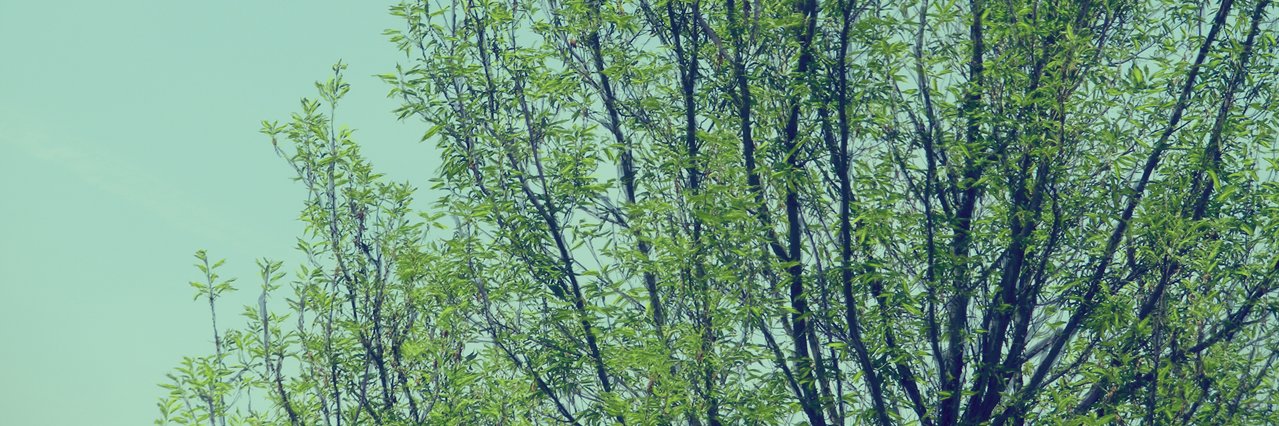 rizkirb's profile banner image