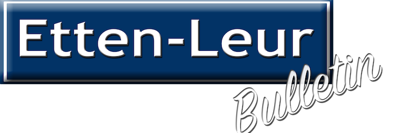 ELbullentin's profile banner image