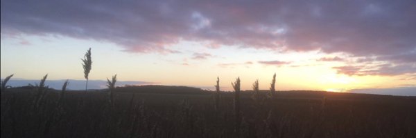 MysteryAnimals Profile Banner