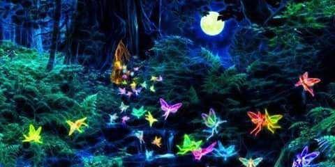 Monicareyes79's profile banner image