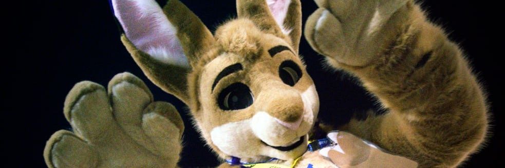 bunzelbun's profile banner image