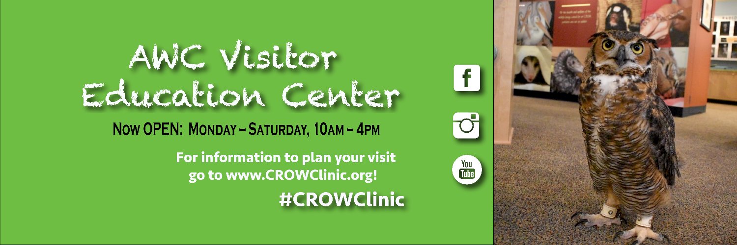 CROW Clinic banner