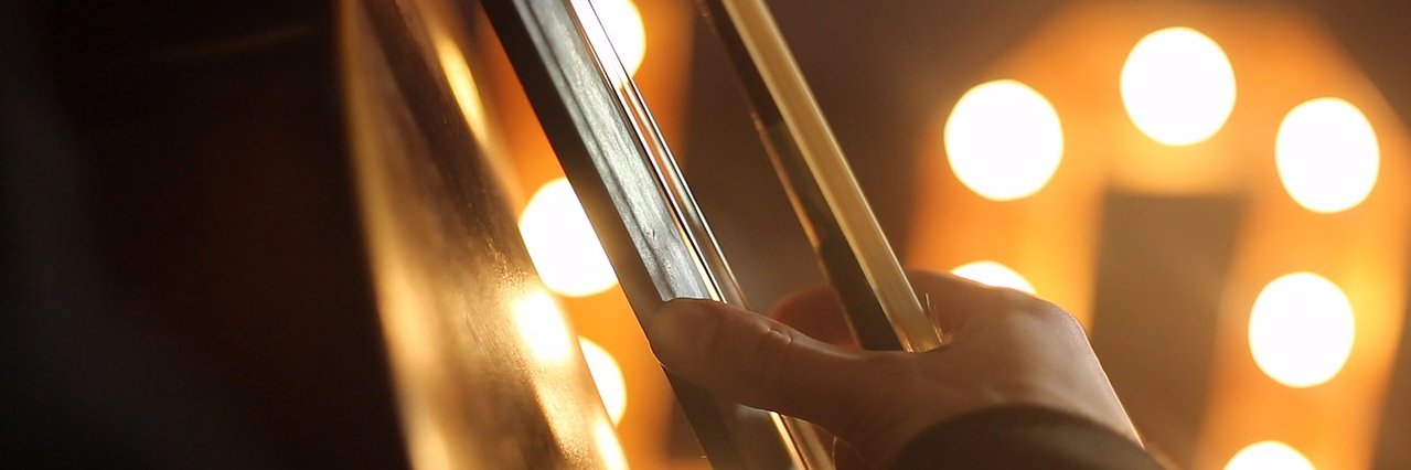 Ёж Братиславский 🇸🇰🎻 banner