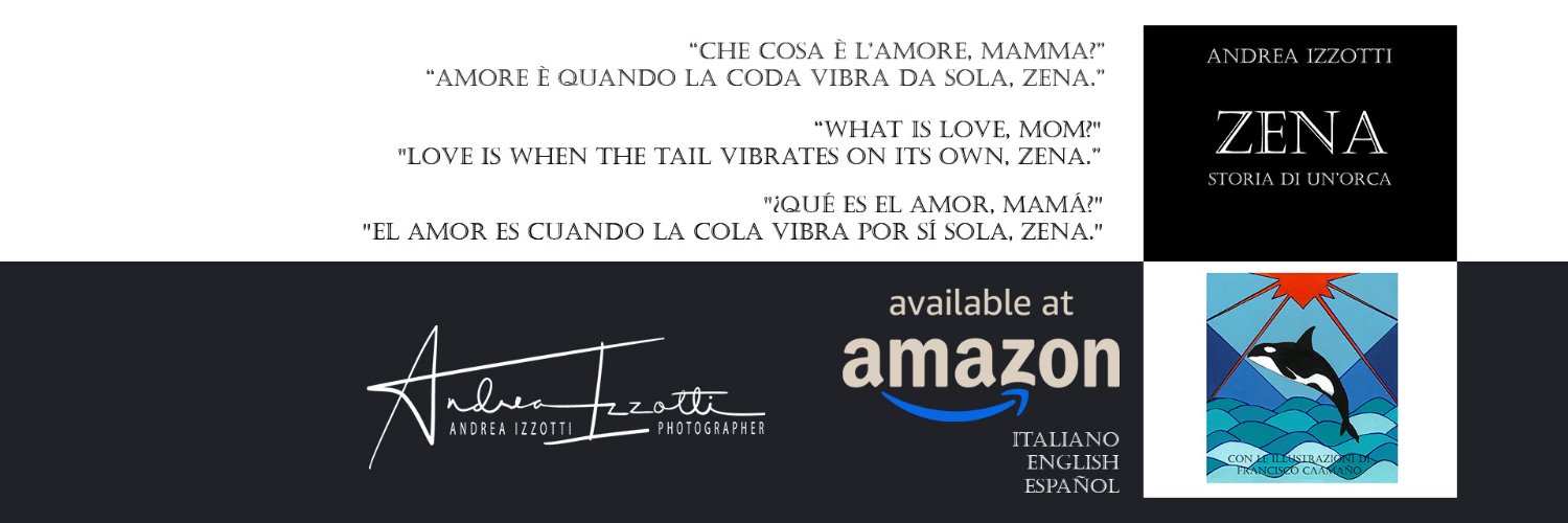 AIzzotti's profile banner image
