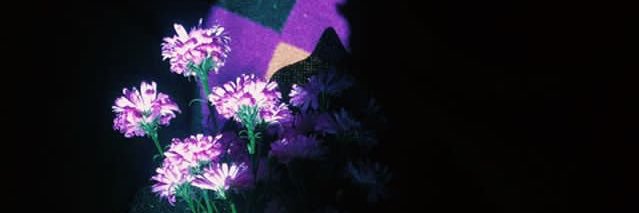 puteridmynti's profile banner image