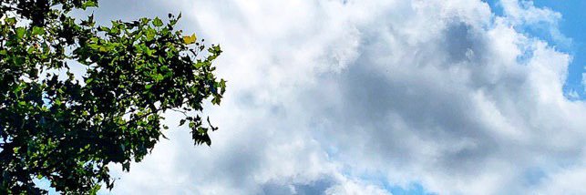 b99f16t99's profile banner image