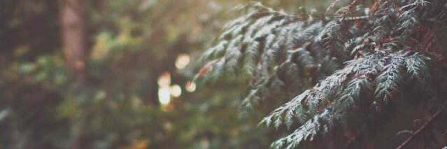 SethBrook's profile banner image