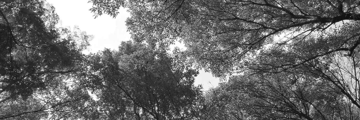 oscar_aha's profile banner image