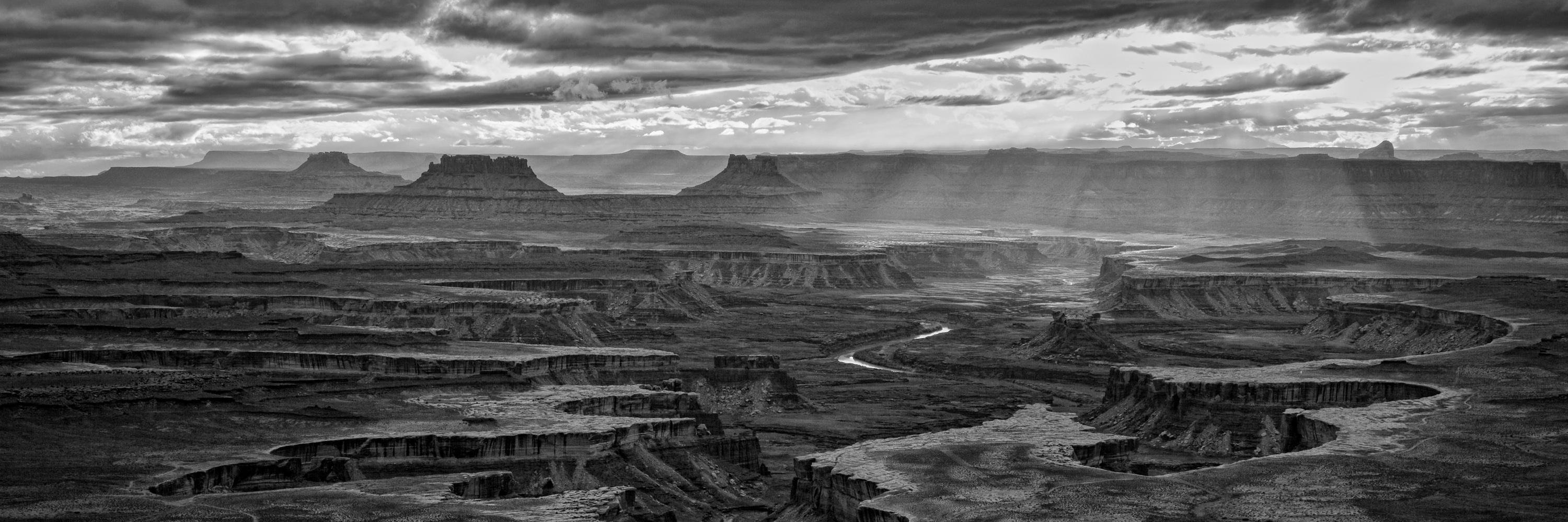 Mountain Standard banner