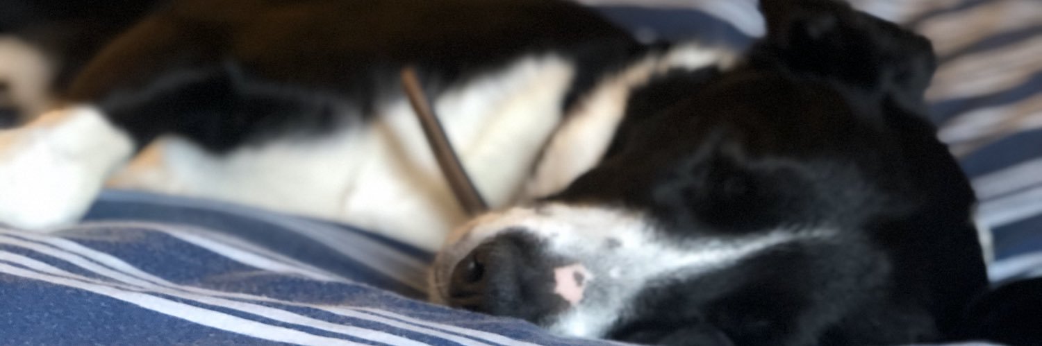BenjaminMartin_'s profile banner image