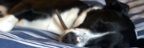 BenjaminMartin_ Profile Banner