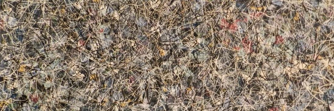 Ken Ehrenberg banner