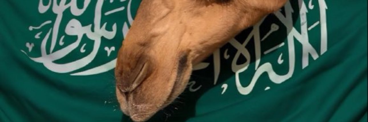 LovelyMH_'s profile banner image