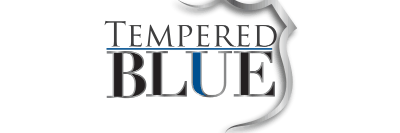 TemperedBlue's profile banner image