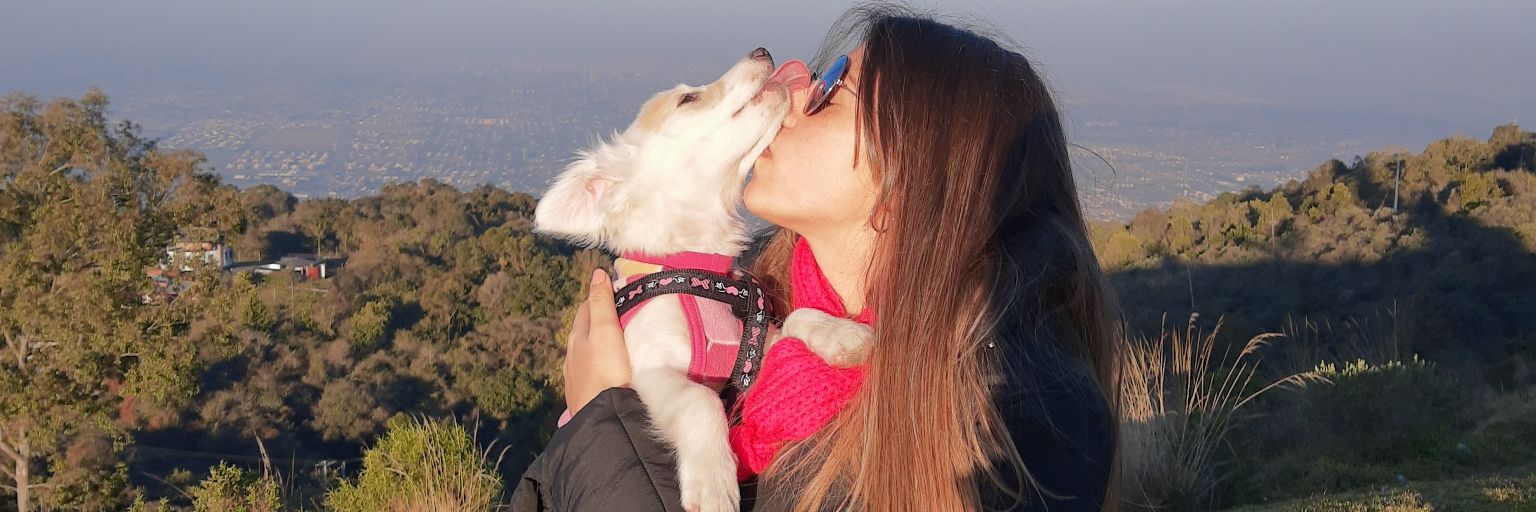 LucianaaBonilla's profile banner image